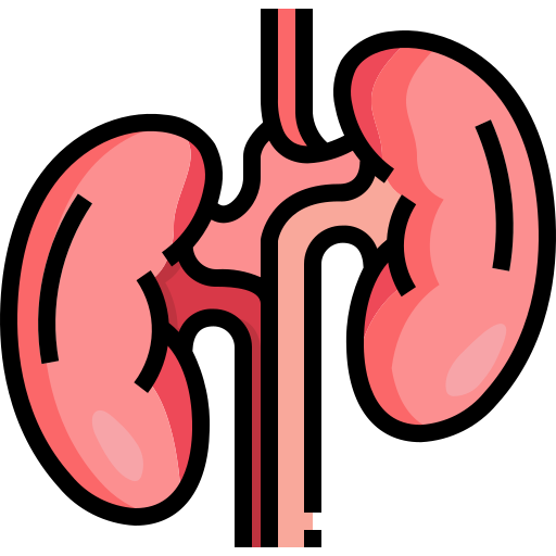 CBD Stones & ERCP